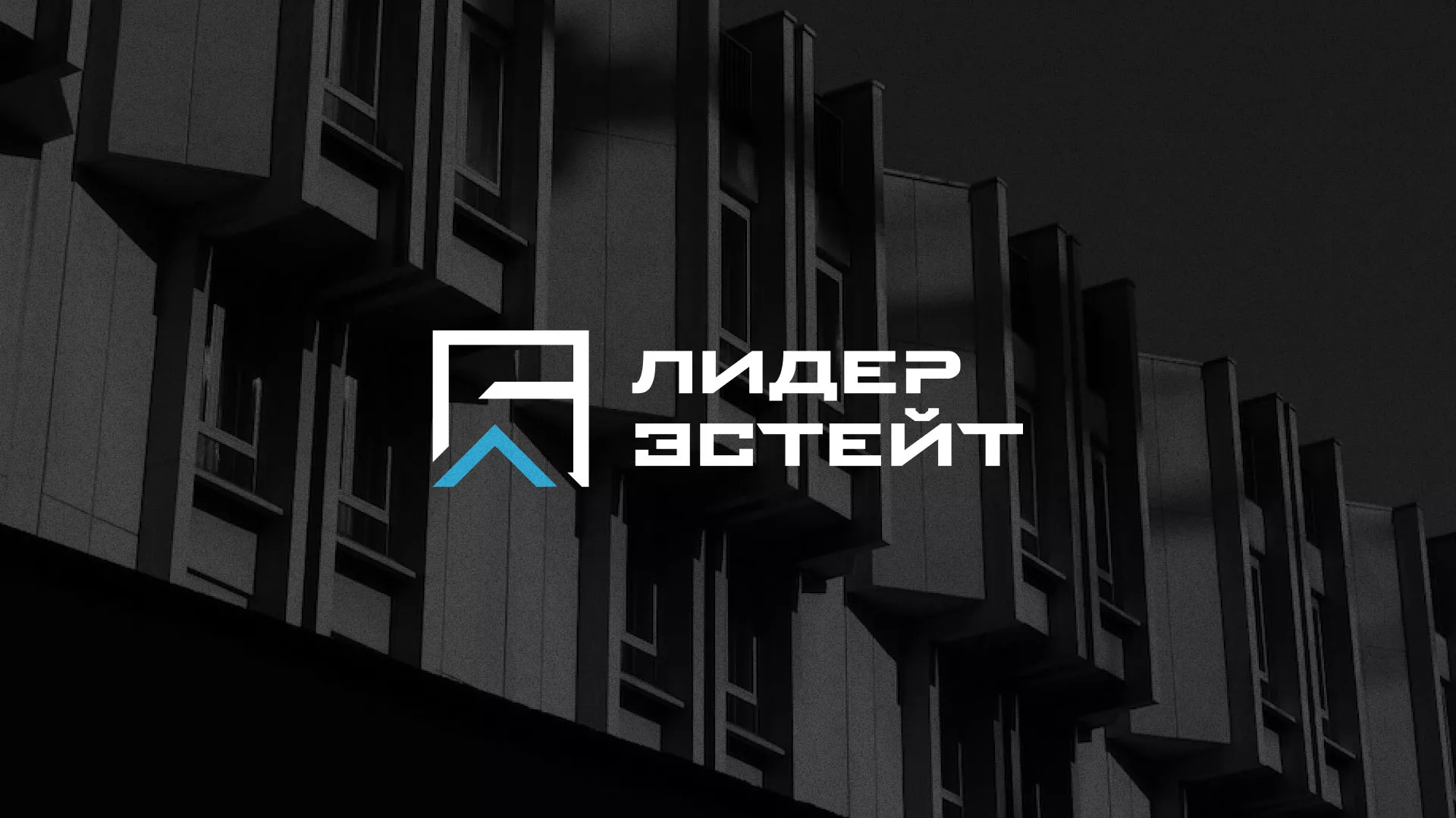 Разработка логотипа агентства недвижимости «Лидер Эстейт» в Котласе
